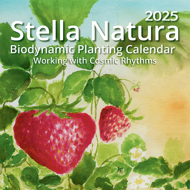 Stella Natura 2025