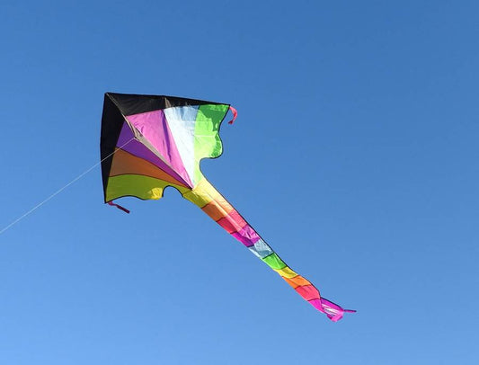 Cerf Volant Super Flyer 46`` Néon Prisme