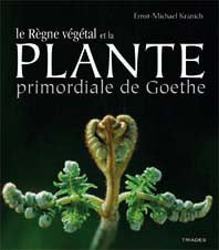 Plante Primordiale de Goethe et le Règne Végétal -E M Kranich