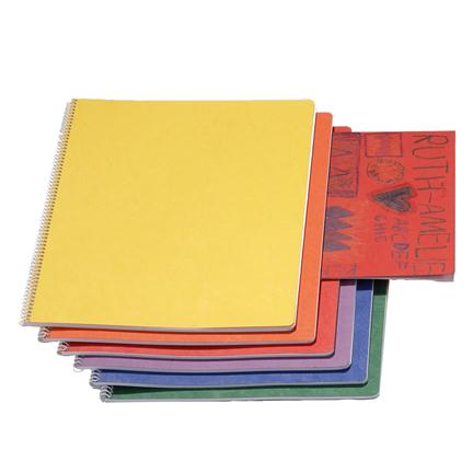 Cahier Principal Moyen Spirale 24x32cm Vertical Soie 1518054