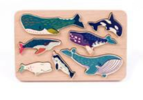 Famille de Baleines  7 -B97350