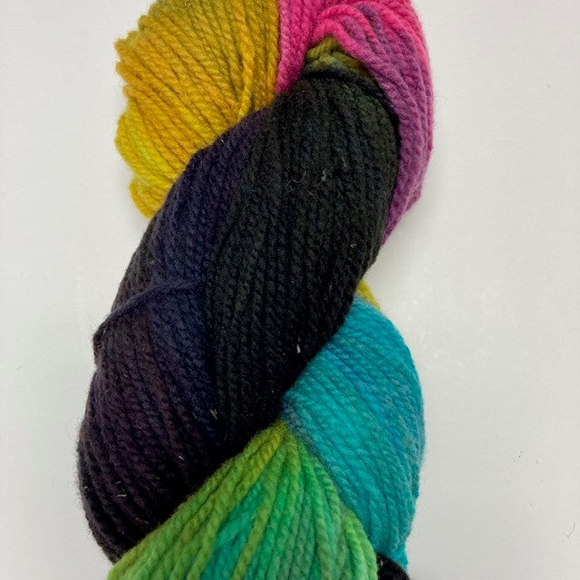 Laine à Tricoter SoftSpun Hand Painted Briggs