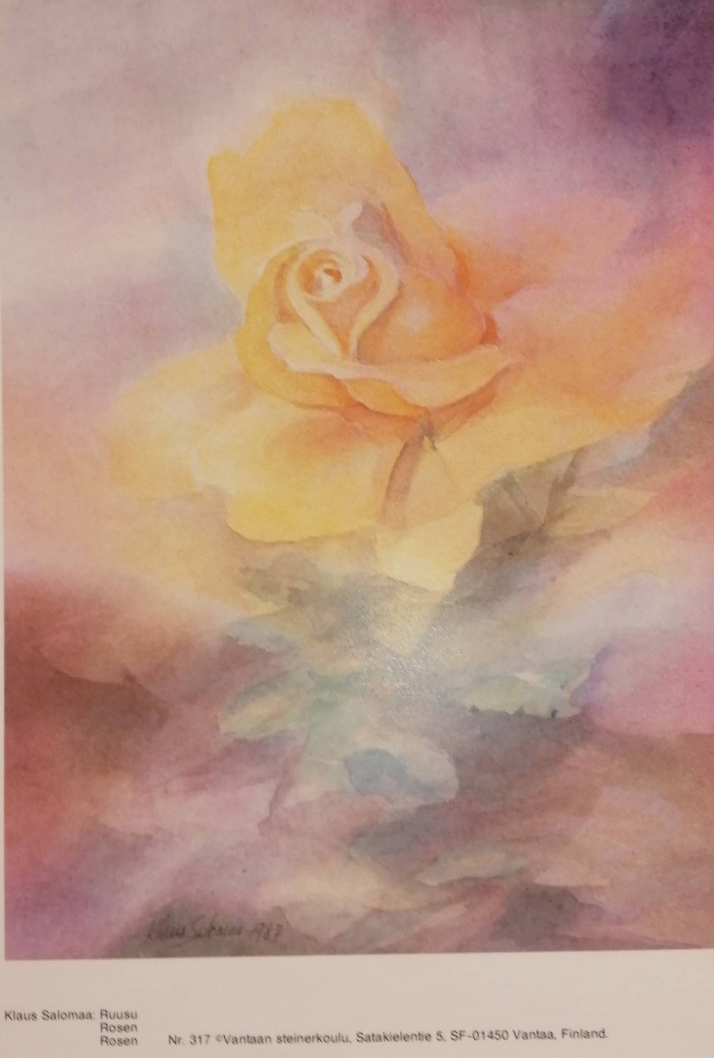 Affiche ( Poster) Fleur - La Rose