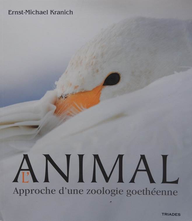 Animal Approche Zoologique - E M Kranich