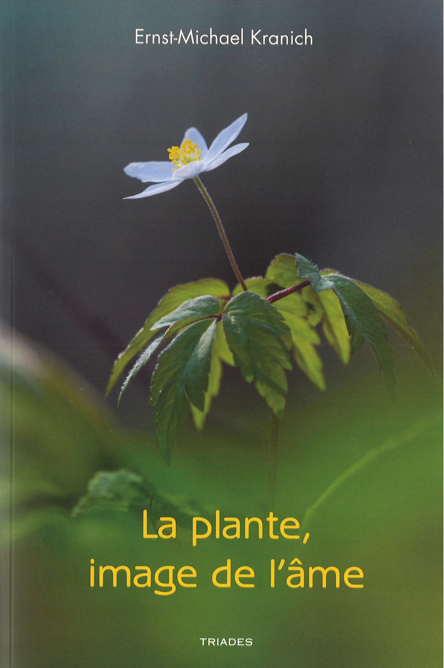 Plante à l`Image de l`Âme- Métamorphoses Physionomiques- E M Kranich