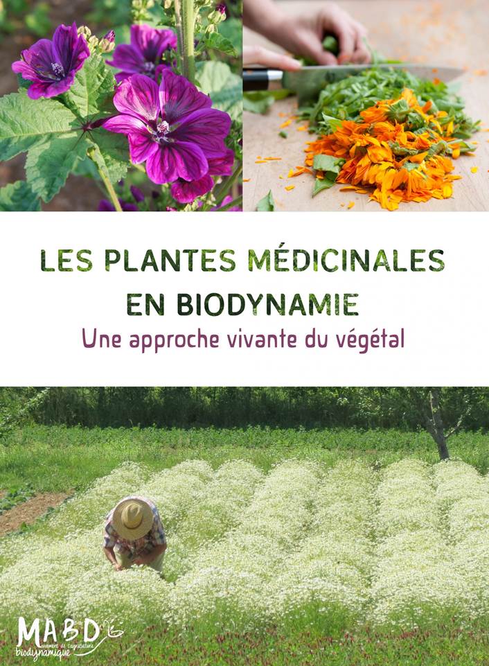 Plantes Médicinales en Biodynamie - Collectif