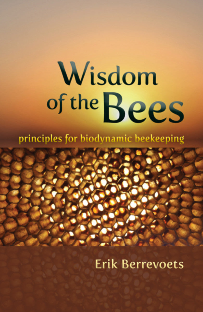Wisdom of the Bees - E  Berrevoets